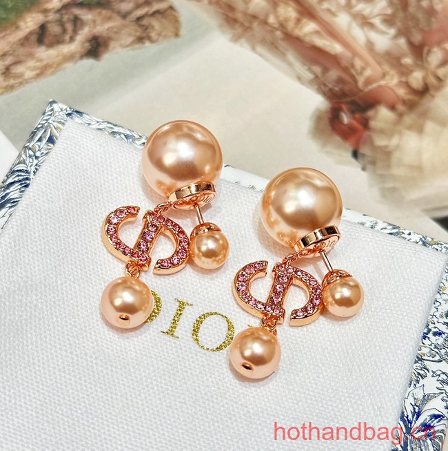 Dior Earrings CE13464