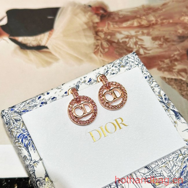 Dior Earrings CE13465