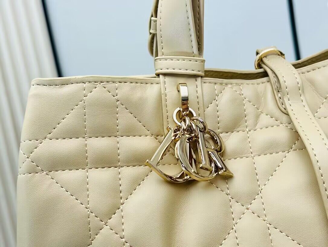 Dior Toujours Original Leather large Bag 9936 Apricot