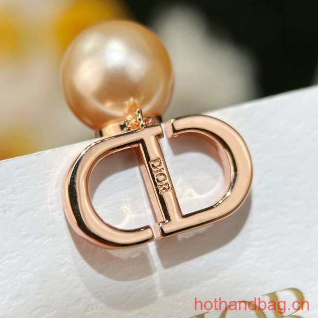 Dior Earrings CE13481