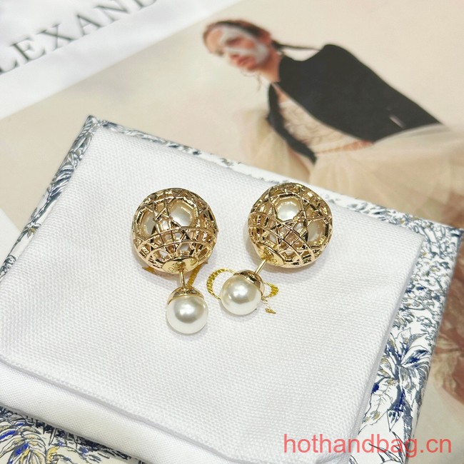 Dior Earrings CE13482