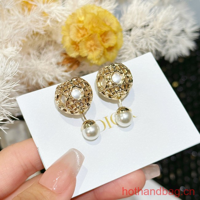 Dior Earrings CE13482