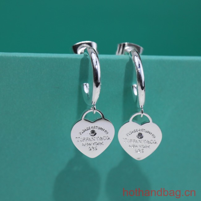 TIFFANY Earrings CE13518