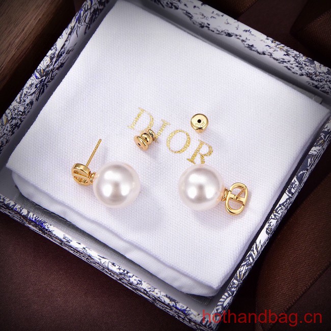 Dior Earrings CE13626