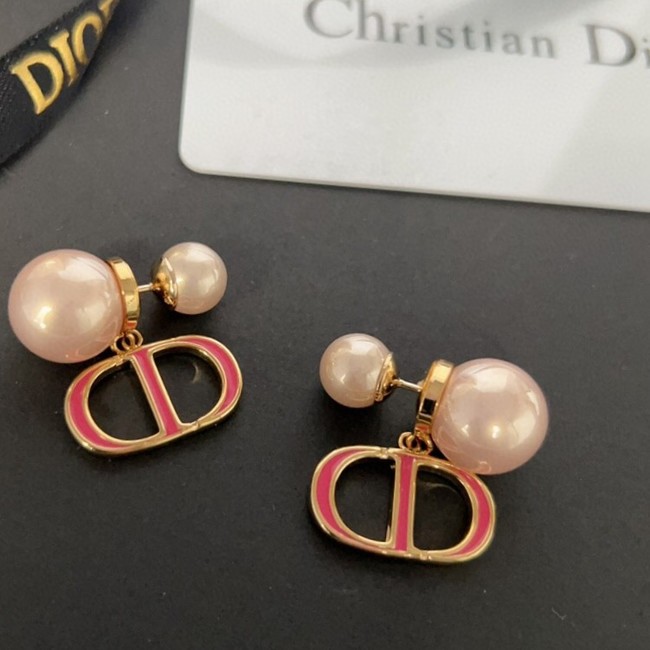 Dior Earrings CE13650