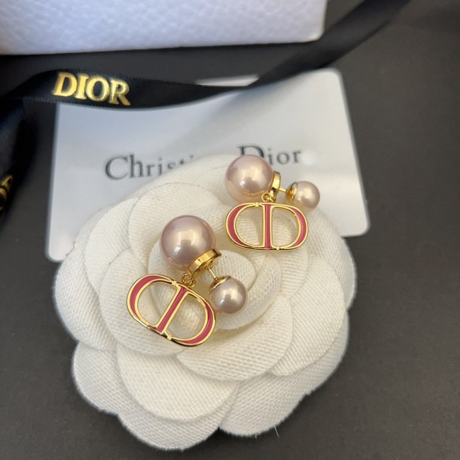 Dior Earrings CE13650