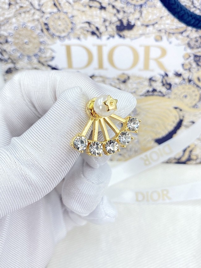 Dior Earrings CE13652