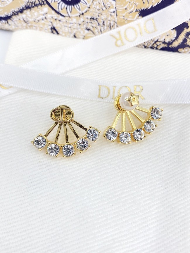 Dior Earrings CE13652