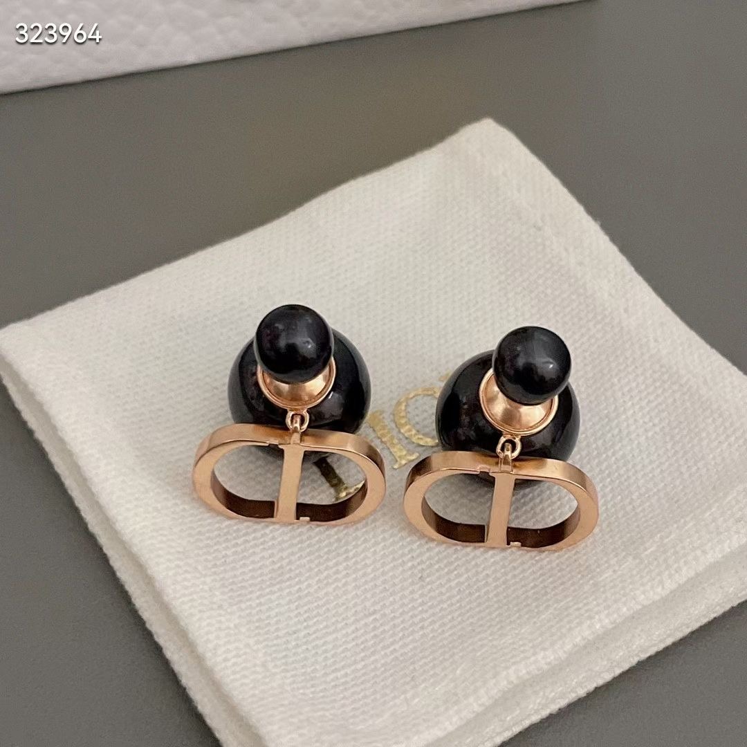 Dior Earrings CE13670