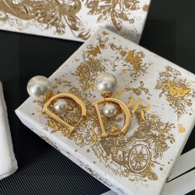 Dior Earrings CE13685