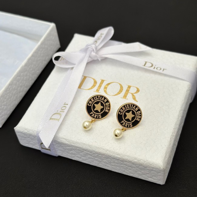 Dior Earrings CE13760