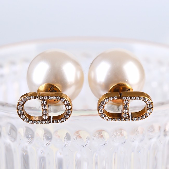 Dior Earrings CE13792