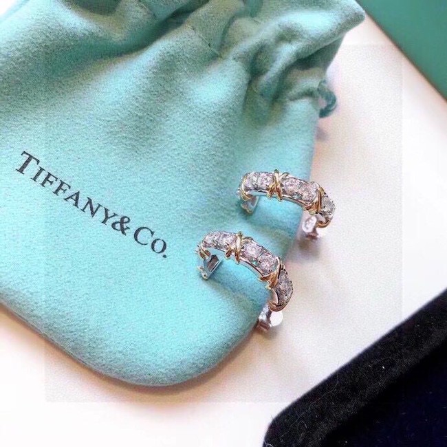 TIFFANY Earrings CE13784