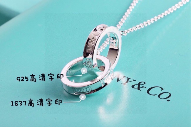 TIFFANY NECKLACE CE13783