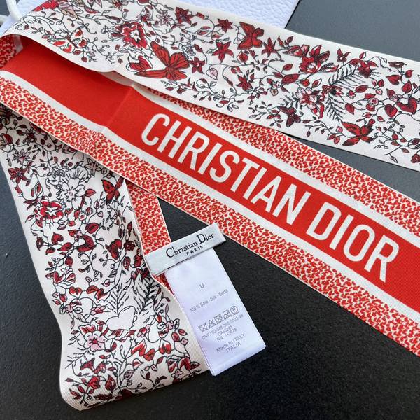 Dior Scarf DIC00348