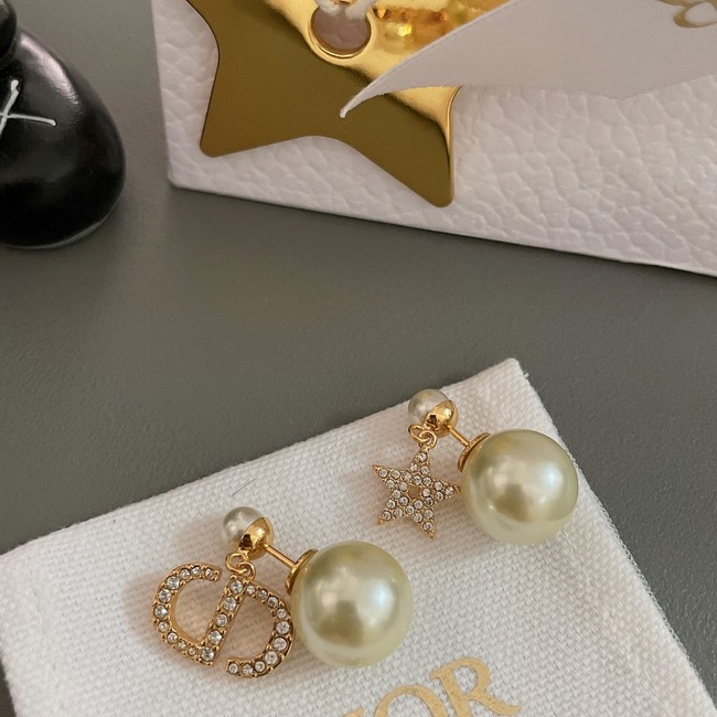 Dior Earrings CE13886