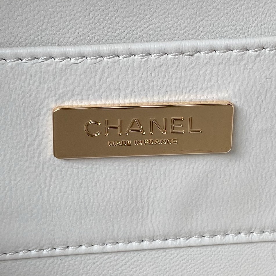 Chanel CAMERA BAG AS4817 White