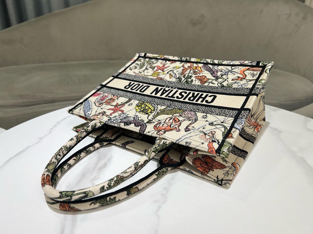 Medium Dior Book Tote Embroidery M1296ZESJ