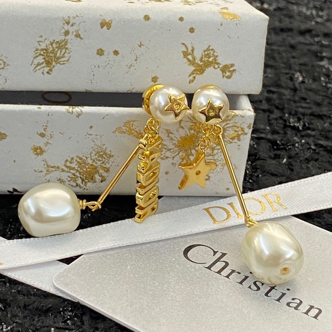 Dior Earrings CE13933