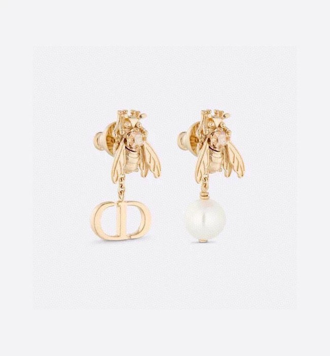 Dior Earrings CE13937