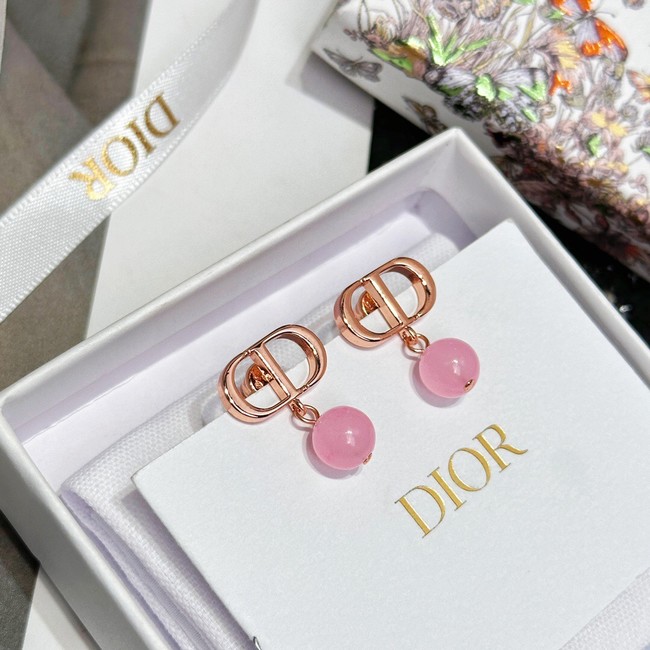 Dior Earrings CE13944