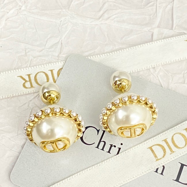 Dior Earrings CE14058