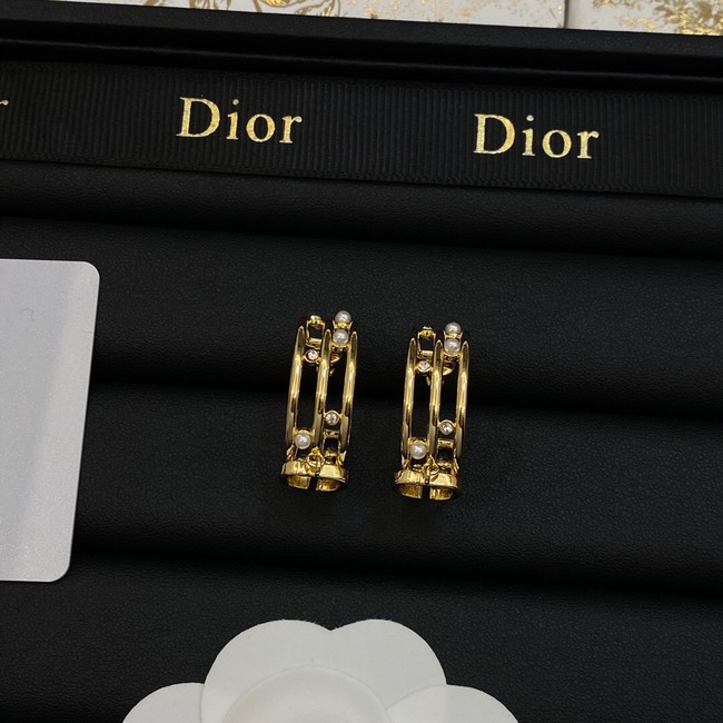 Dior Earrings CE14063