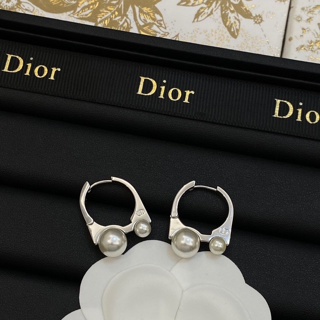 Dior Earrings CE14068