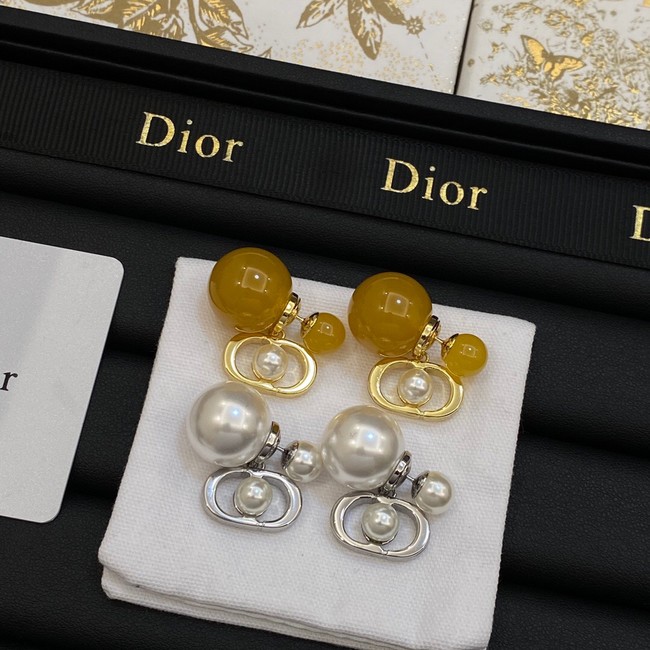 Dior Earrings CE14069