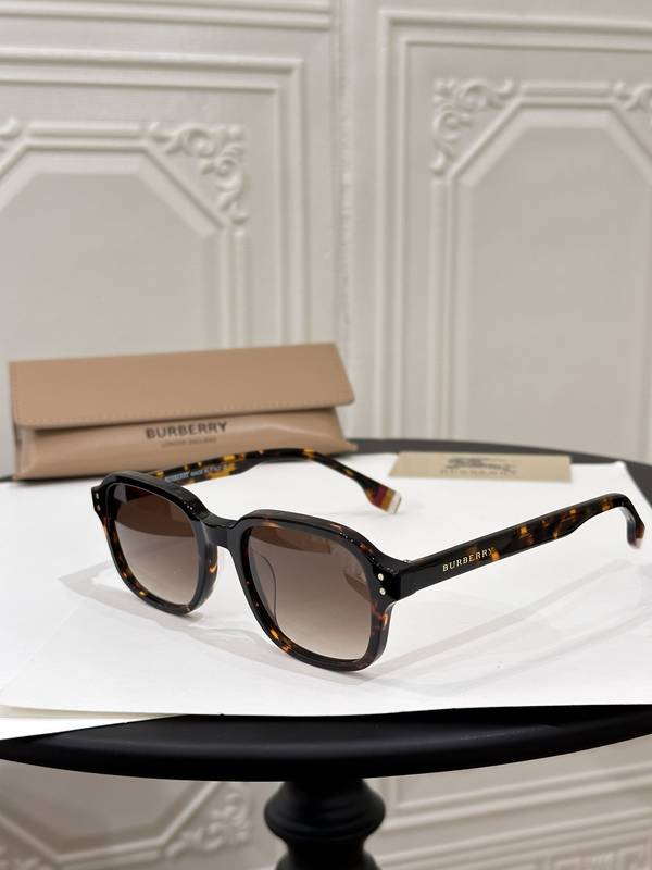 BurBerry Sunglasses Top Quality BBS01173