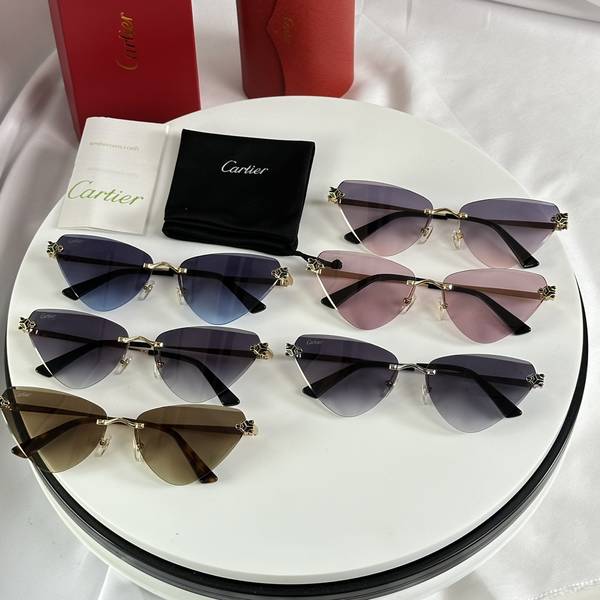 Cartier Sunglasses Top Quality CAS01619