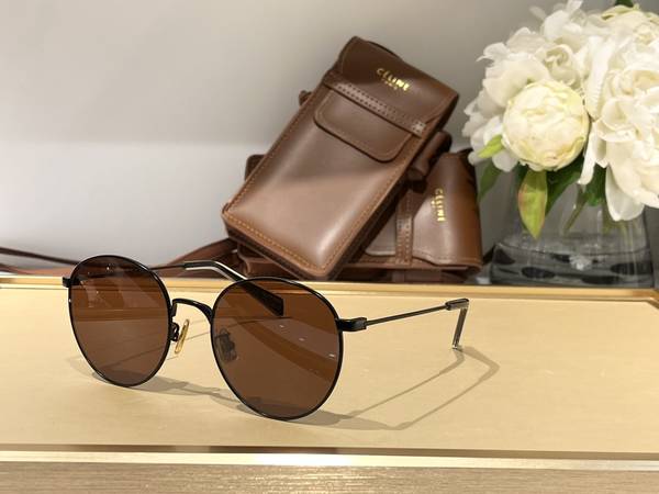 Celine Sunglasses Top Quality CES01364