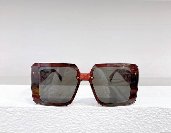 Hermes Sunglasses Top Quality HMS00101