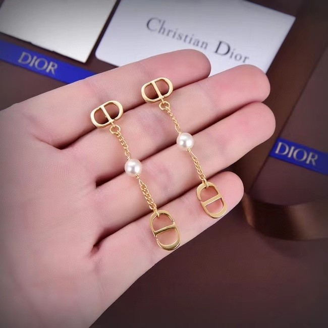 Dior Earrings CE14102