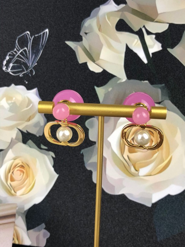 Dior Earrings CE14154