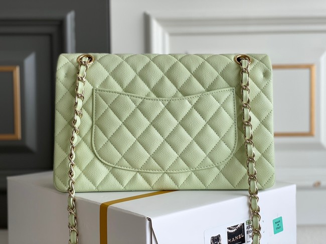 CHANEL CLASSIC 11.12 HANDBAG AS01112 LIGHT GREEN&GOLD Metal