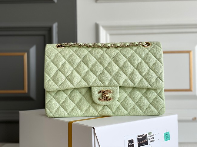 CHANEL CLASSIC 11.12 HANDBAG AS01112 LIGHT GREEN&GOLD Metal