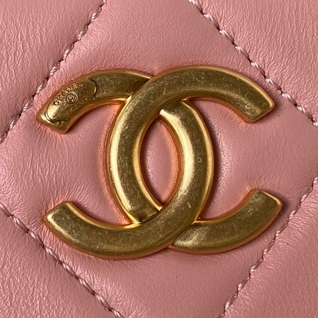 Chanel Shoulder Bag AS4450 pink