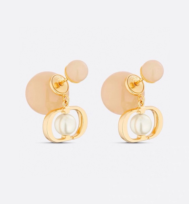 Dior Earrings CE14220