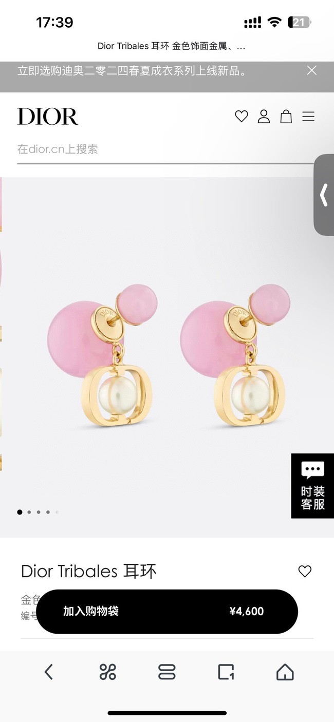 Dior Earrings CE14220