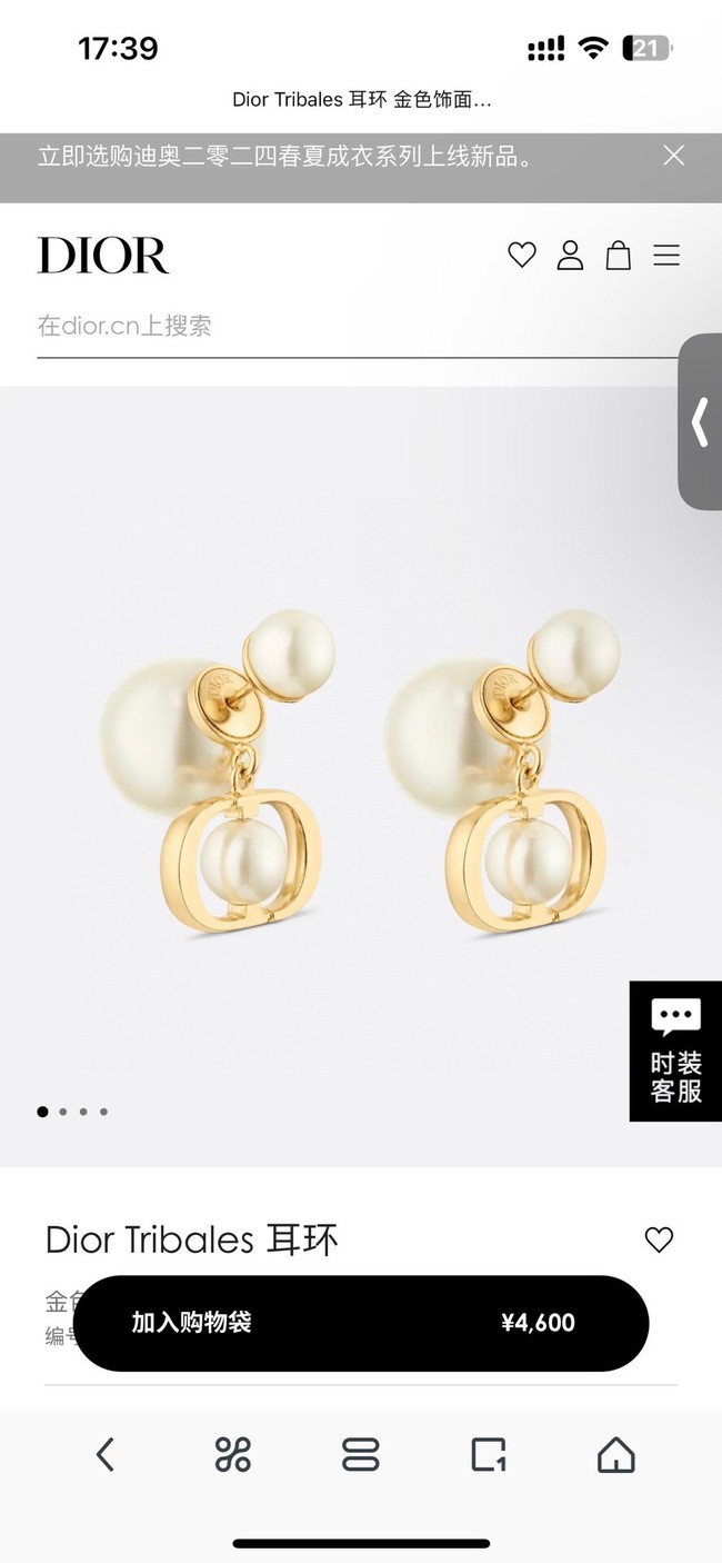 Dior Earrings CE14220