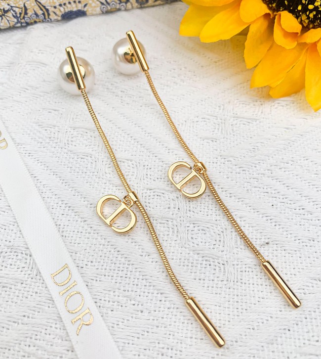 Dior Earrings CE14237