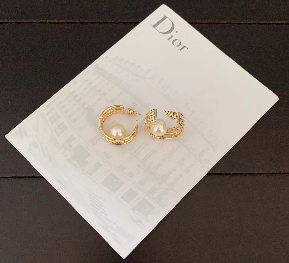 Dior Earrings CE14251