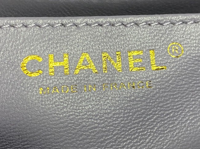 Chanel MINI FLAP BAG WITH TOP HANDLE AS4924 Light Purple