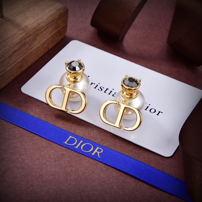 Dior Earrings CE14557