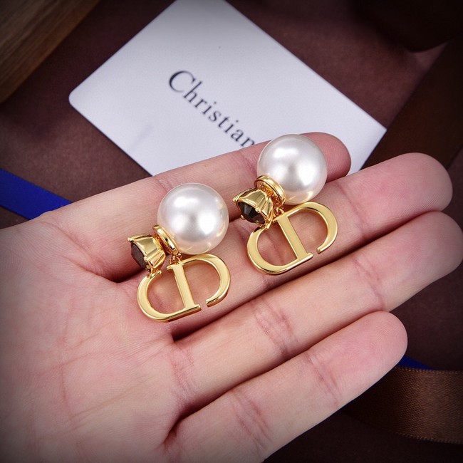 Dior Earrings CE14557