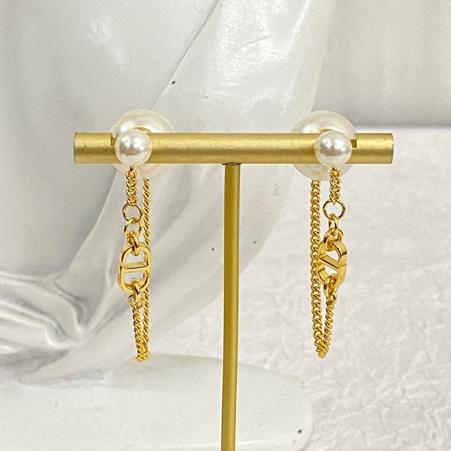 Dior Earrings CE14629