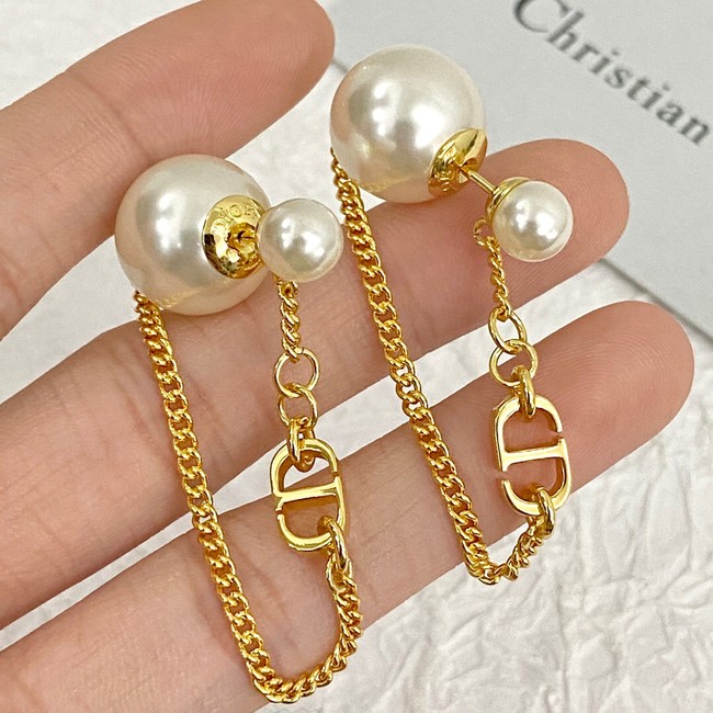 Dior Earrings CE14629