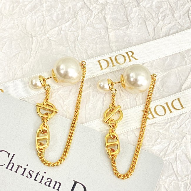 Dior Earrings CE14629