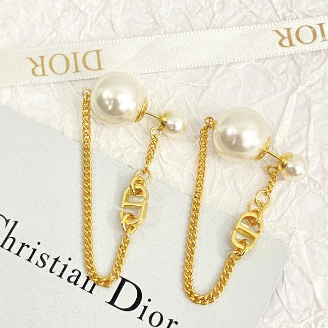 Dior Earrings CE14629